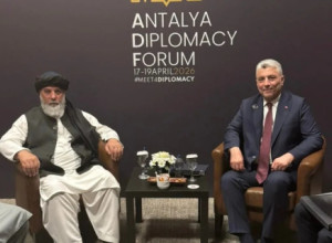 عکسی از هیت افغانی