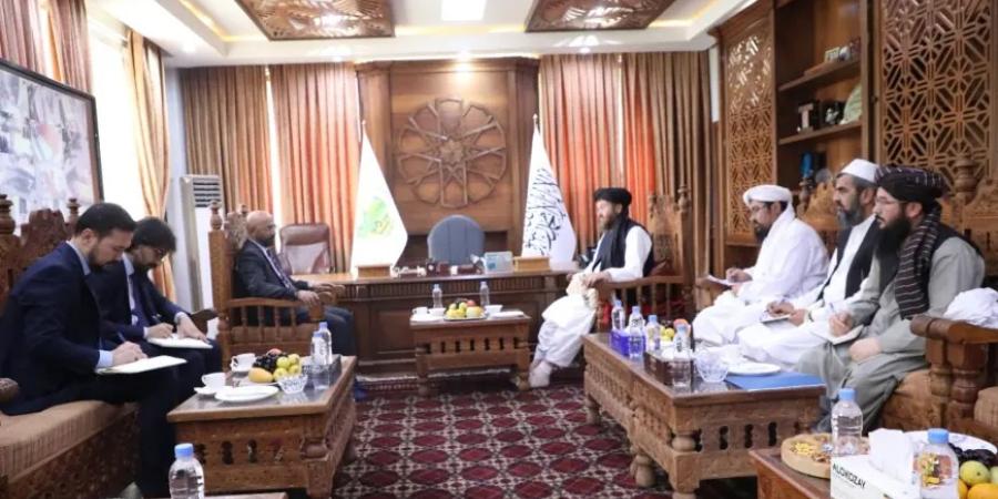 تصویر از ملاقات وزیر زراعت افغانستان و کاردار ترکیه