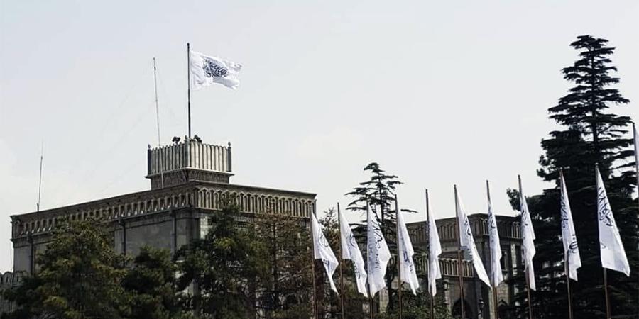 a picture of arg