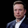 musk picture