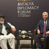 عکسی از هیت افغانی